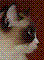 Avatar de davidm