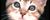 Avatar de VNyes