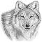 Avatar de wolfang