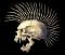 Avatar de PeterPunk